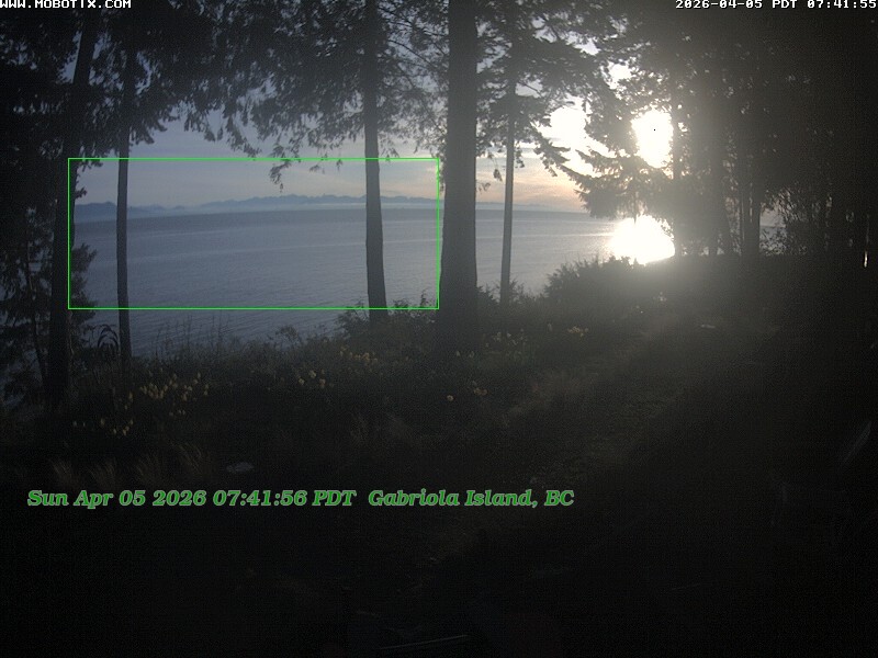 Well, where's the image?